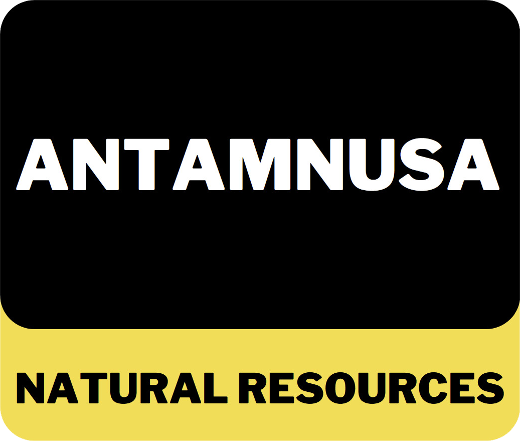 Antamnusa